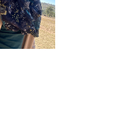 Denise Lacock-Freelancer in ,South Africa