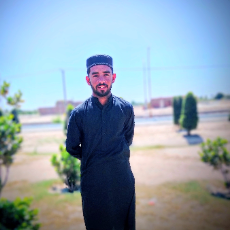 Qasim Mirza-Freelancer in Karachi,Pakistan