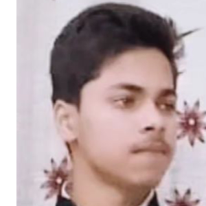 Aayan Ali Khan-Freelancer in Meerut Division,India
