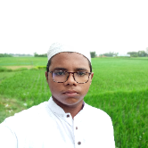 Sadullah Ahmad-Freelancer in Brahmanbaria,Bangladesh
