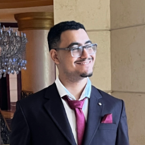 Ahmed Moussa-Freelancer in Al Mansurah,Egypt