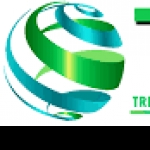 Tricky Global Solutions Private Limited-Freelancer in Bengaluru,India