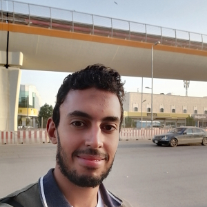 Hesham Mustafa-Freelancer in Cairo,Egypt