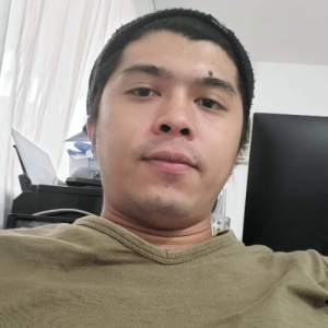 Samson.onlinework-Freelancer in Manila,Philippines