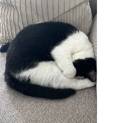 MAriana-Freelancer in Porto,Portugal