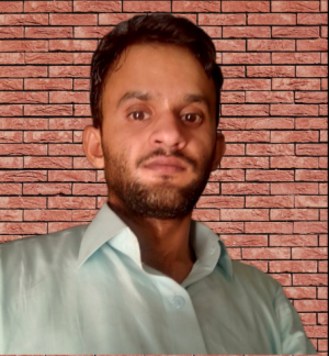 Ameer Muzamil-Freelancer in Sukkur,Pakistan