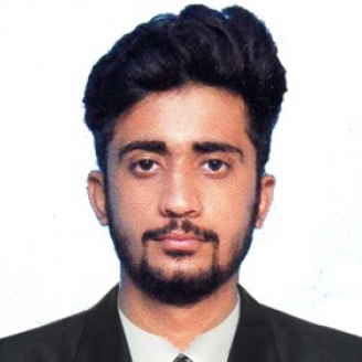 Ankit Kumar-Freelancer in Noida,India