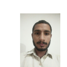 Ali Writes-Freelancer in Lahore,Pakistan