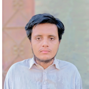 Muhammad Hammad-Freelancer in Naushahro feroze,Pakistan