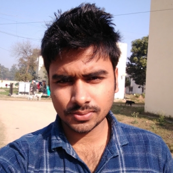 Ankit-Freelancer in Jalandhar,India