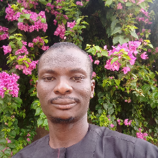 Usman Abdulrashid Yusuf-Freelancer in Kano,Nigeria