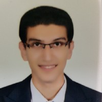 Ahmed Hammad-Freelancer in Faraskur,Egypt