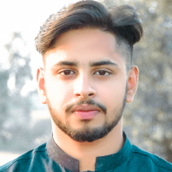 Ahmad Raza-Freelancer in Daska,Pakistan