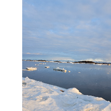 Meda Baines-Freelancer in Iqalui,Canada