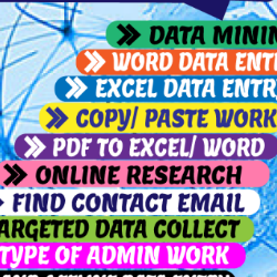 Janat Fatima-Freelancer in Lahore,Pakistan