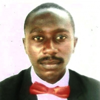 Benjamin Dimowo-Freelancer in Lagos,Nigeria