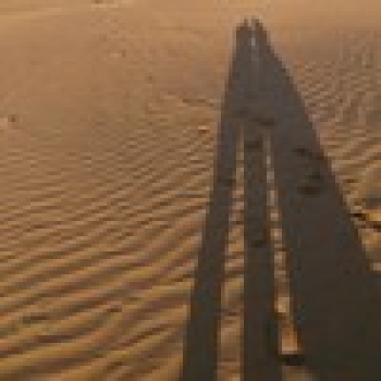 Anoop Hashim-Freelancer in United Arab Emirates,UAE