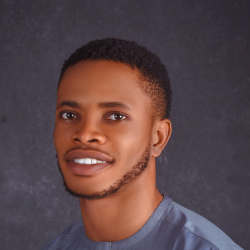 DAVID AYODELE-Freelancer in Ibadan,Nigeria