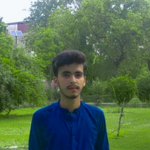 Abdullah Ozair-Freelancer in Lahore,Pakistan