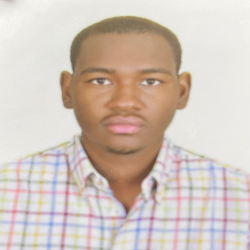 Muhammed Gidado Abubakar-Freelancer in Abuja,Nigeria