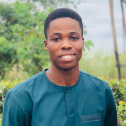 John Okoli-Freelancer in Abuja,Nigeria