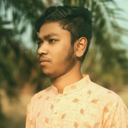 Saif Mahamud Rafi-Freelancer in Pirojpur,Bangladesh