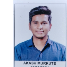 Akash Murkute-Freelancer in Bhopal,India