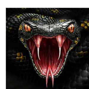 Om Pandey-Freelancer in New Delhi,India