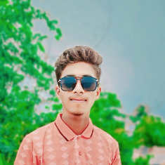 Akash Mondal-Freelancer in ,Bangladesh