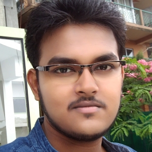 Bishnu Pada Saha-Freelancer in Guwahati,India