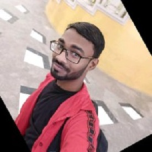 Sandeep Kumar Rajput-Freelancer in Delhi,India