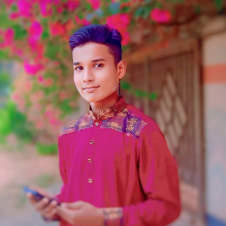 Prince Shawon-Freelancer in Dhaka,Bangladesh