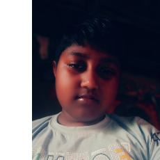 Rajdeep das-Freelancer in Kumarghat,India