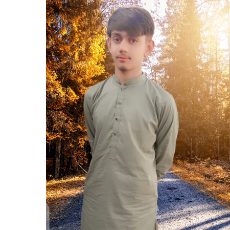 Talha Aslam-Freelancer in Jhang,Pakistan