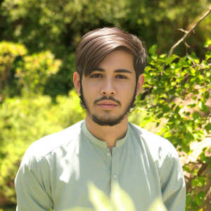 Muhammad Ilyas Afridi-Freelancer in Peshawar,Pakistan
