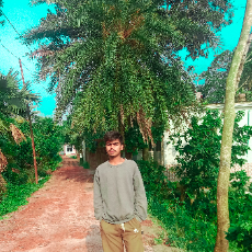Md Ridoy-Freelancer in Burichang,Bangladesh