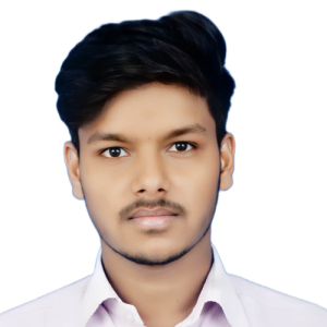 Ritesh Kumar-Freelancer in Patna,India