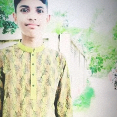 Farhan Araf-Freelancer in ,Bangladesh