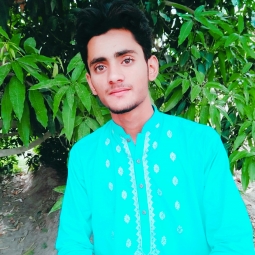 Faizan hussain-Freelancer in Faisalabad,Pakistan