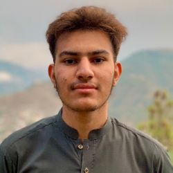 Abdul Basit-Freelancer in Islamabad,Pakistan