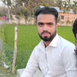 Md Mostakim-Freelancer in Nilphamari,Bangladesh