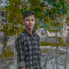 Limon Sany-Freelancer in Mymensing,Bangladesh