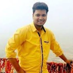 Sanjay Naik-Freelancer in Bhilai,India