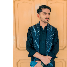 Syed Gulfam Hassan-Freelancer in Kahror Pacca,Pakistan