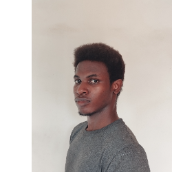 Anthony Ogunlanoh-Freelancer in Ibadan,Nigeria