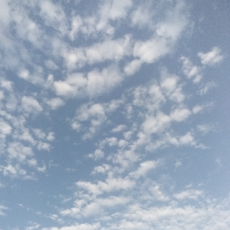 Esha Bakht-Freelancer in Islamabad,Pakistan