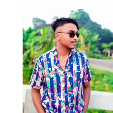 Md Ebrahim Khan-Freelancer in Bangladeshi,Bangladesh