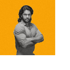 Anurag Narula-Freelancer in Delhi,India