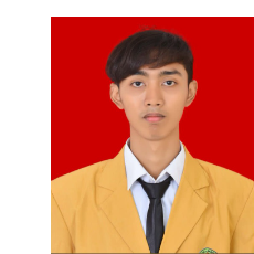 Rizki Dwi Rmdhni-Freelancer in Jakarta,Indonesia