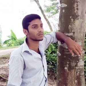 Shimul Hossain-Freelancer in ,Bangladesh